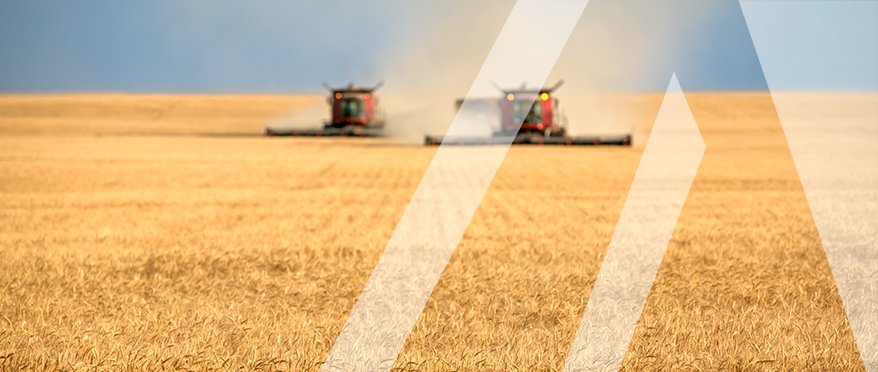 Перевозка зерна и сельскохозяйственной продукции